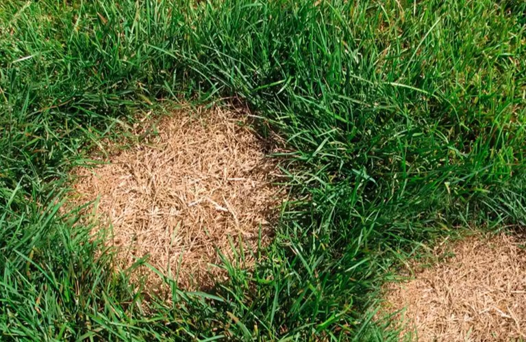 patch a hole