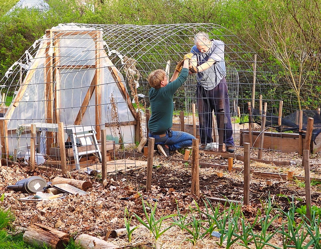 repairing green house