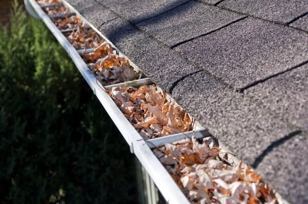 Clogged-Gutters