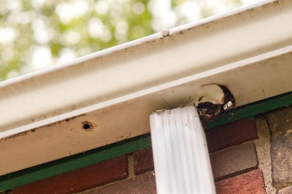 broken gutter